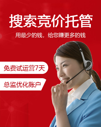 竞价优化案例